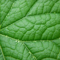 235008_20180813101247_01.JPG