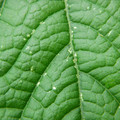 235008_20180813101354_01.JPG