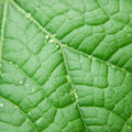 235008_20180813101410_01.JPG