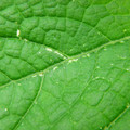 235008_20180813101418_01.JPG