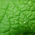 235008_20180813101504_01.JPG