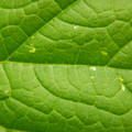 235008_20180813101631_01.JPG