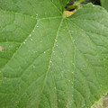 235011_20180911144338_01.JPG