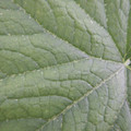 235011_20180911144801_01.JPG