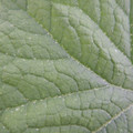 235011_20180911144808_01.JPG