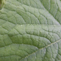 235011_20180911144811_01.JPG