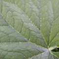 235011_20180911144846_01.JPG