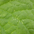 235011_20180914132403_01.JPG