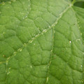 235011_20180914132439_01.JPG