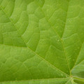235011_20181016132006_01.JPG