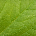 235013_20181016131951_01.JPG