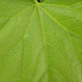 235013_20181019110914_01.JPG