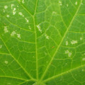 455001_20171213161523_01.JPG
