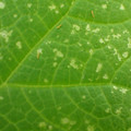 455001_20171213161711_01.JPG