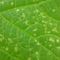 455001_20171213161719_01.JPG