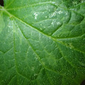 455001_20171213161838_01.JPG