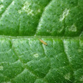 455001_20171213161855_01.JPG