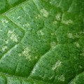 455001_20171213162007_01.JPG
