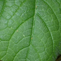455001_20171214155324_01.JPG