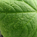 455001_20171218103312_01.JPG