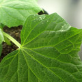 455001_20171218103441_01.JPG