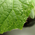 455001_20171218103613_01.JPG