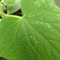 455001_20171218103713_01.JPG