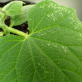455001_20171218103715_01.JPG