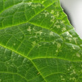 455001_20171218103741_01.JPG