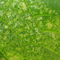 455001_20171228161213_01.JPG