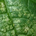 455001_20171228161235_01.JPG