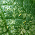 455001_20171228161244_01.JPG