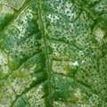 455001_20171228161255_01.JPG