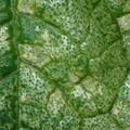 455001_20171228161258_01.JPG