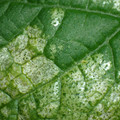 455001_20180104095741_01.JPG