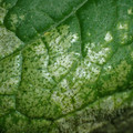 455001_20180104095745_01.JPG