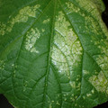 455001_20180104095758_01.JPG
