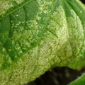 455001_20180104095806_01.JPG