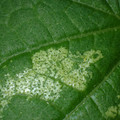 455001_20180104095905_01.JPG
