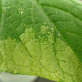 455001_20180104100301_01.JPG