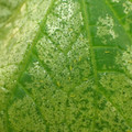 455001_20180104100355_01.JPG