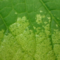 455001_20180104100406_01.JPG