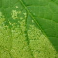 455001_20180104100408_01.JPG