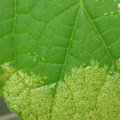 455001_20180104100411_01.JPG