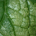 455001_20180104100437_01.JPG