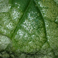 455001_20180104100440_01.JPG