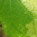 455001_20180116163045_01.JPG
