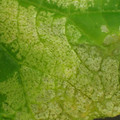 455001_20180116163047_01.JPG