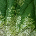 455001_20180116163314_01.JPG