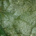 455001_20180116163319_01.JPG